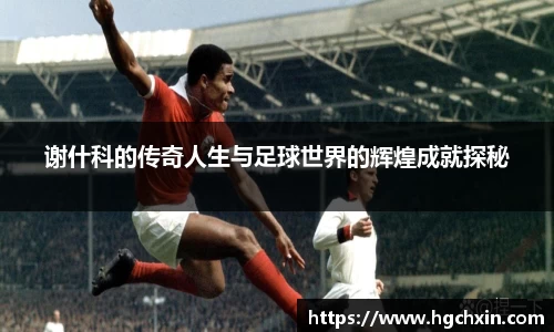 谢什科的传奇人生与足球世界的辉煌成就探秘